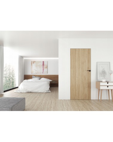 Concealed door "SARA ECO 2" 220cm Primed