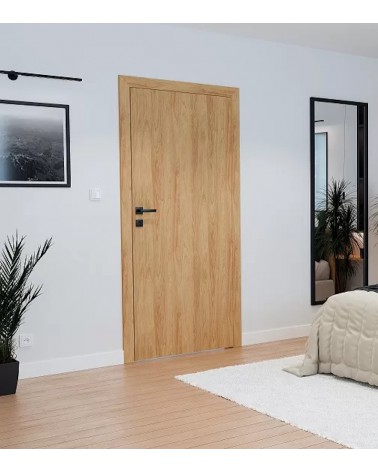 "STANDARD 10" Internal doors. Non-rebated