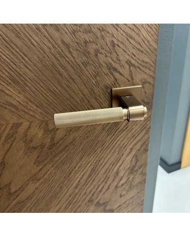 "ESPINA W03" Internal doors. Non-rebated