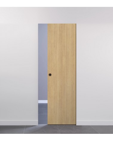 Schiebetüren in der Wand "DECO LUX V00" ECLISSE